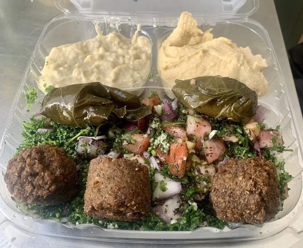 Falafel Plate